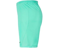 Nike Park III Knit Jr BV6865-354 Šortai