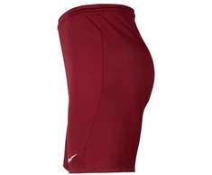 Nike Park III Knit Jr BV6865-677 Šortai