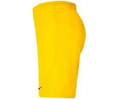 Nike Park III Knit Jr BV6865-719 Šortai