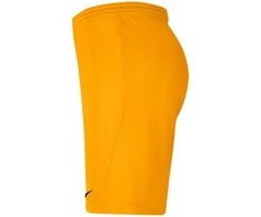 Nike Park III Knit Jr BV6865-739 Šortai