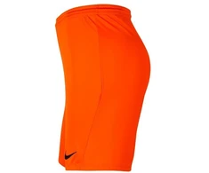 Nike Park III Knit Jr BV6865-819 Šortai