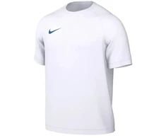Nike Park VIII jaunimo marškinėliai mėlynas logotipas HV8182-104