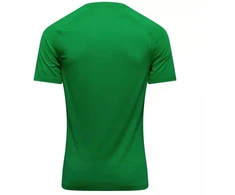 Nike Park VIII Vaikiškas Marškinėliai HV8182-302