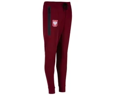 Nike Poland vilnonės sportinės kelnės IO8540-677