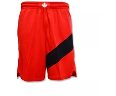 Nike Toronto Raptors Swingman šortai išvykos universitetinė raudona/balta - CN8089-657