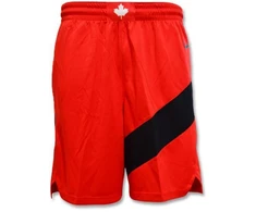Nike Toronto Raptors Swingman šortai išvykos universitetinė raudona/balta - CN8089-657