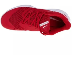 Nike Zoom Hyperspeed Court M CI2964-610 batai