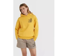 O'Neill Future Surf Society Hoody W 92800613435