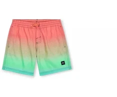 O'Neill Jack Cali Gradient 14'' maudymosi šortai Jr 92800613570