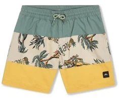 O'Neill Mix&amp;Match Cali Block 13'' Jr maudymosi šortai 92800613806