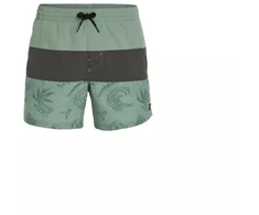 O'Neill Mix&amp;Match Cali Block maudymosi šortai 15'' M 92800613820