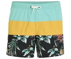 O'Neill Mix&amp;Match Cali Block maudymosi šortai 15'' M 92800613816