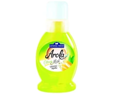 Oro gaiviklis su citrinų aromatu General Fresh Arola Mist, 300 ml