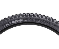 Padanga 29 × 2,5 WTB Verdict