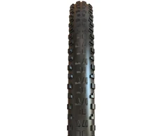 Padanga dviračiui Maxxis 29 x 2.5 Minion DHF TR