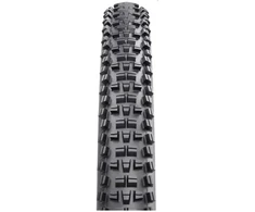 Padanga WTB 29x2.25 TRAIL BOSS TCS LFR 60 TPI SG2