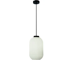 Pakabinamas šviestuvas ASTOR, E27, juodos/baltos sp., 4253100