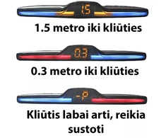 Parkavimo sistema su 4 davikliais