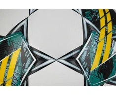 Pasirinkite „Pioneer“ TB IMS T26-17849 futbolo kamuolį r.5