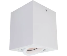 Pakabinamas šviestuvas Italux Lubinis šviestuvas IT8004S1-WH