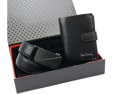 Pierre Cardin ZG-207-BA