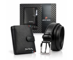 Pierre Cardin ZP-008