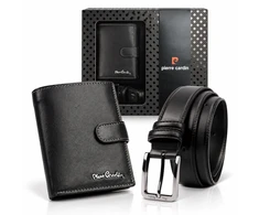 Pierre Cardin ZP-009