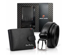Pierre Cardin ZP-010