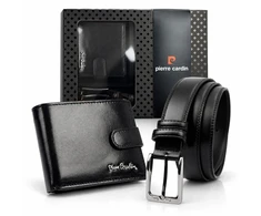 Pierre Cardin ZP-011