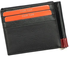 Piniginė Pierre Cardin“