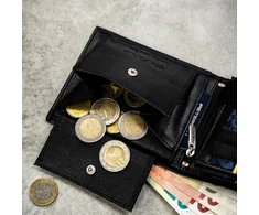 Piniginės ir diržo rinkinys vyrams Peterson PTN SET N992-DOT