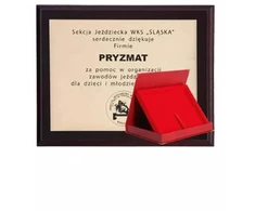 Plastikinis diplomas su graviravimu ant laminato + dėklas 250x200 mm