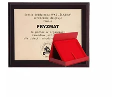 Plastikinis diplomas su graviravimu ant laminato ir dėklu 355x300 mm