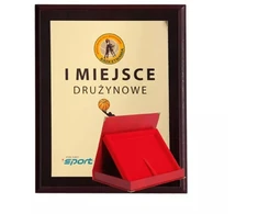 Plastikinis diplomas su spalvota laminuote ir dėklu 275x220 mm