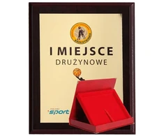 Plastikinis diplomas su spalvota lietimui jautria laminuote + dėklas 305x245 mm