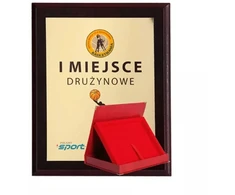 Plastikinis diplomas su spalvoto laminato elementais + dėklas 355x300 mm
