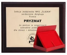 Plastikinis pagrindas su graviruotu laminatu ir dėklu 305x245 mm