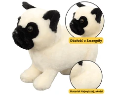 Lean Toys Žaislinis pliušinis šuo mopsas, 19 cm