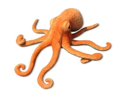 Lean Toys Pliušinis aštuonkojis, 55 cm, oranžinis
