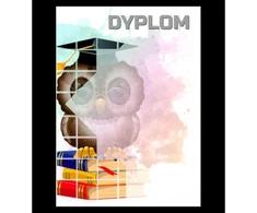 Popierinis diplomas - pelėda (25 vnt.) DYP157