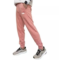 Puma Ess+ 2 Col Logo kelnės M 586768 62