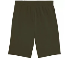 Puma Ess 2 Color No. 1 Logo šortai M 684715 70