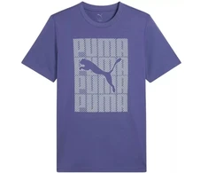 Puma Graphics Wording marškinėliai M 684825 46