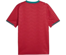 Puma Portugal Home Jersey Replica Club vyriški marškinėliai, raudoni