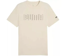 Puma Sport Graphic Tee M 684617 87