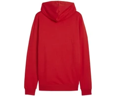 Puma Team Goal Casuals Hoody M 658618 01