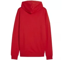 Puma Team Goal Casuals Hoody M 658618 01