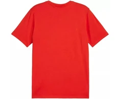 Puma Team Goal Casuals marškinėliai M 658615 01