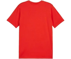 Puma Team Goal Casuals marškinėliai M 658615 01
