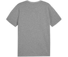 Puma Team Goal Casuals marškinėliai M 658615 33